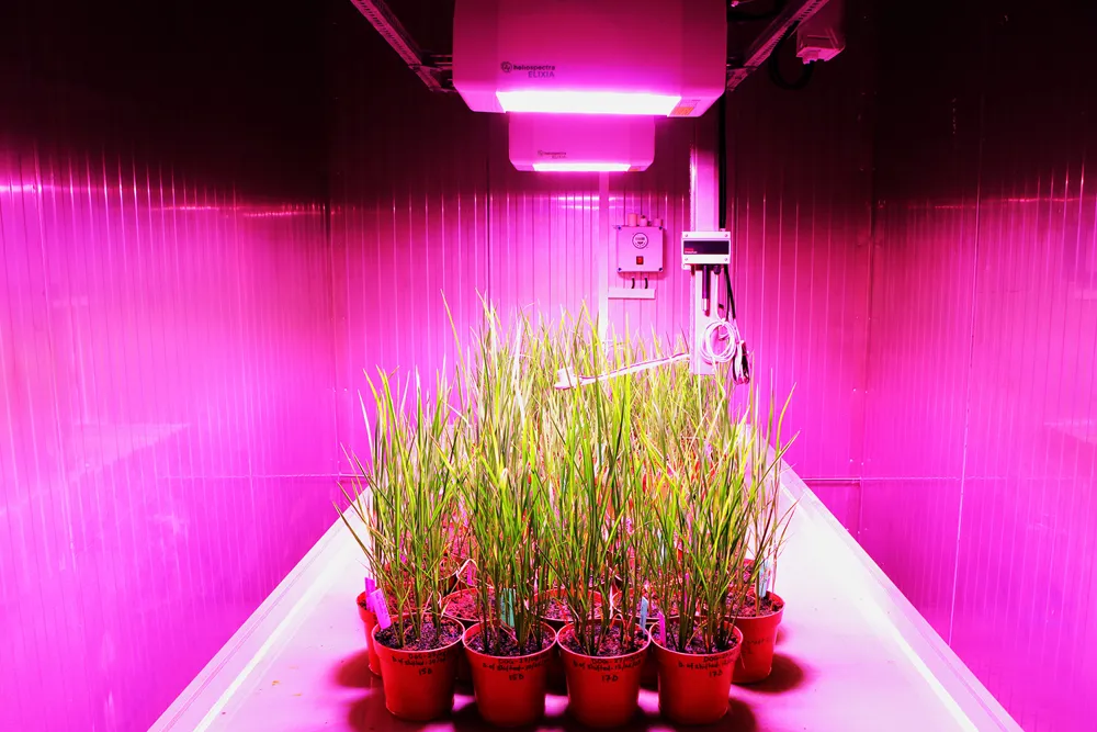 Centre of Excellence in Sustainable Agriculture (CESA) Centre of Excellence in Sustainable Agriculture (CESA)