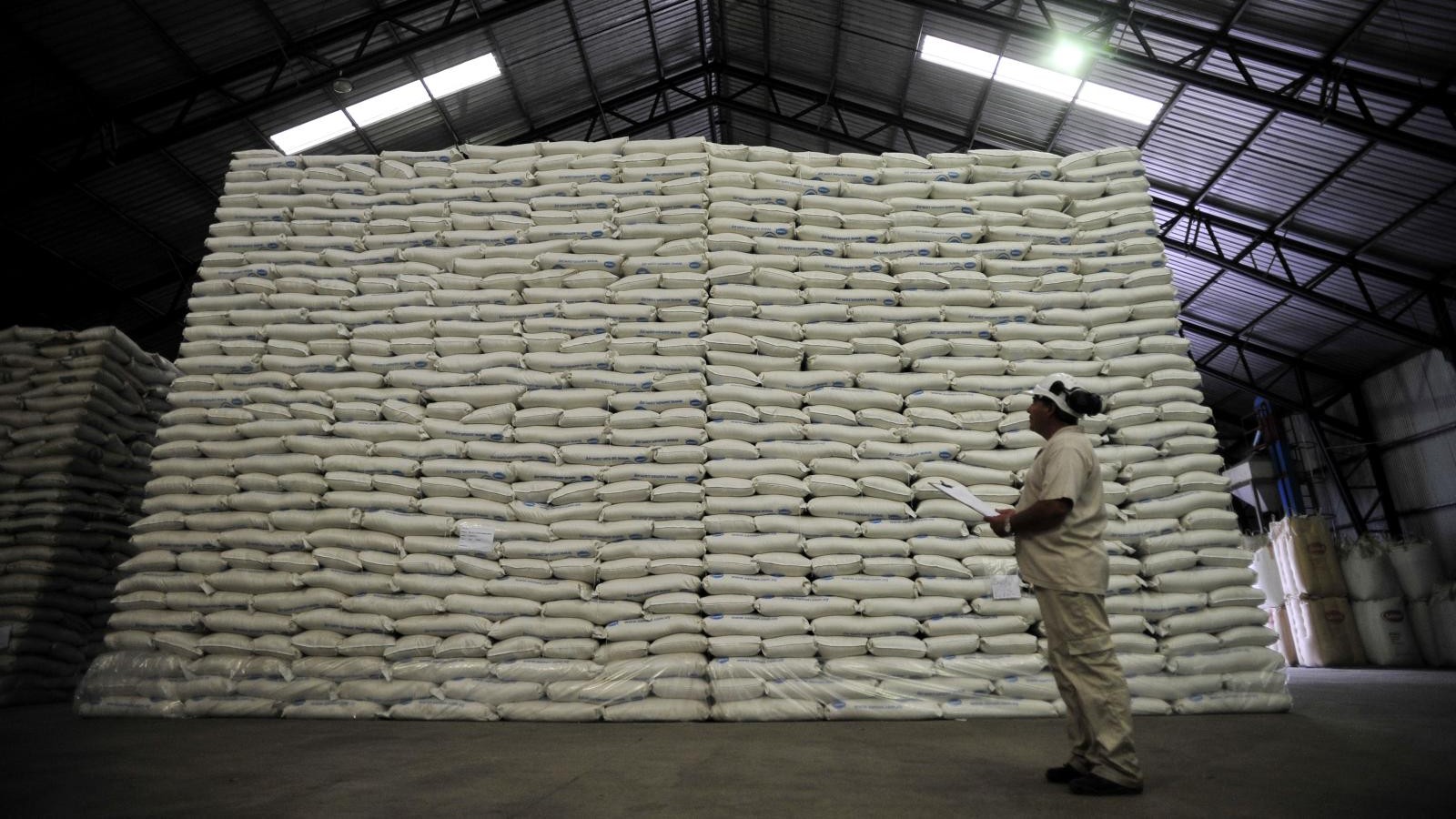 Policy Briefs and White Papers Header