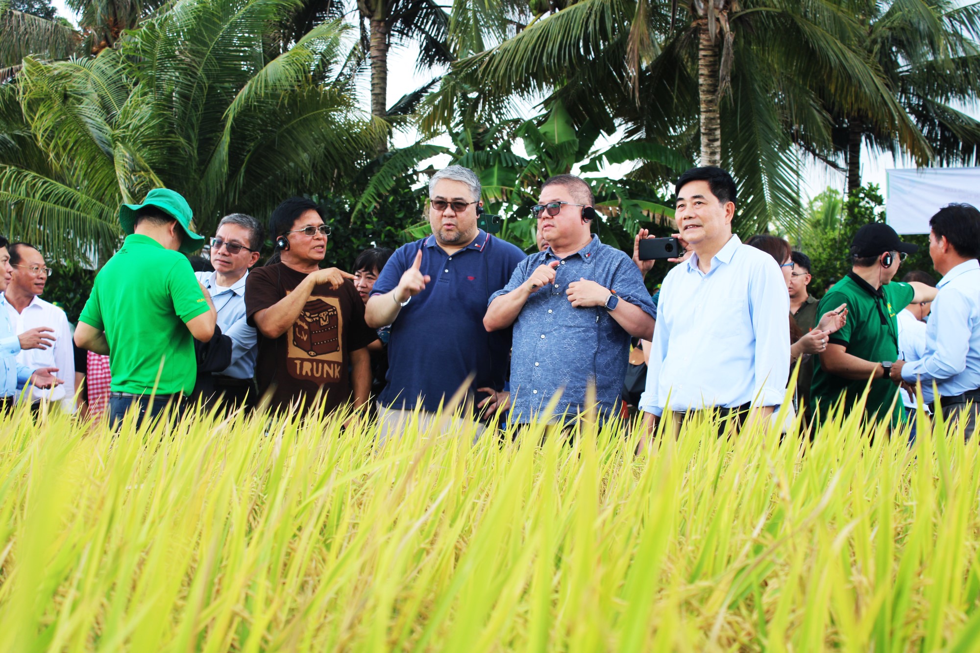 Vietnam's pilot low-emission rice farming shows promise: Increased yields, profits, and sustainability