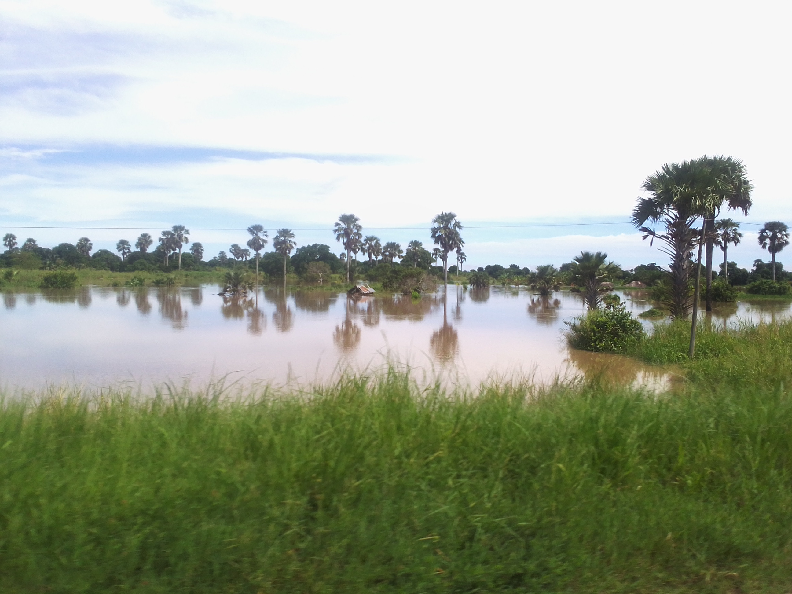 Climate-smart mapping can help Tanzanian rice farmers in flood-prone areas mitigate crop losses