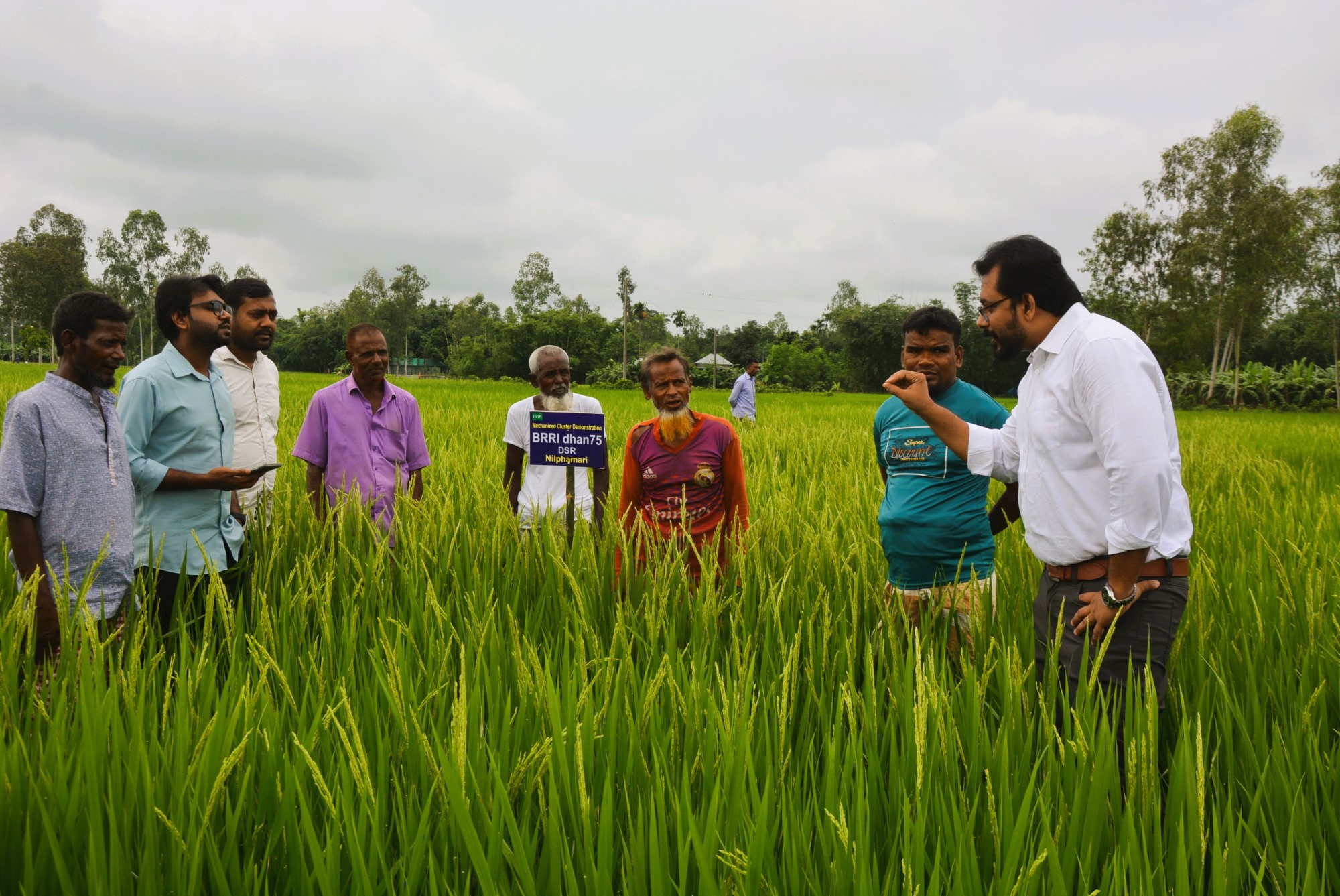Advancing direct-seeded rice technology in northern Bangladesh through mechanized clustered demonstration