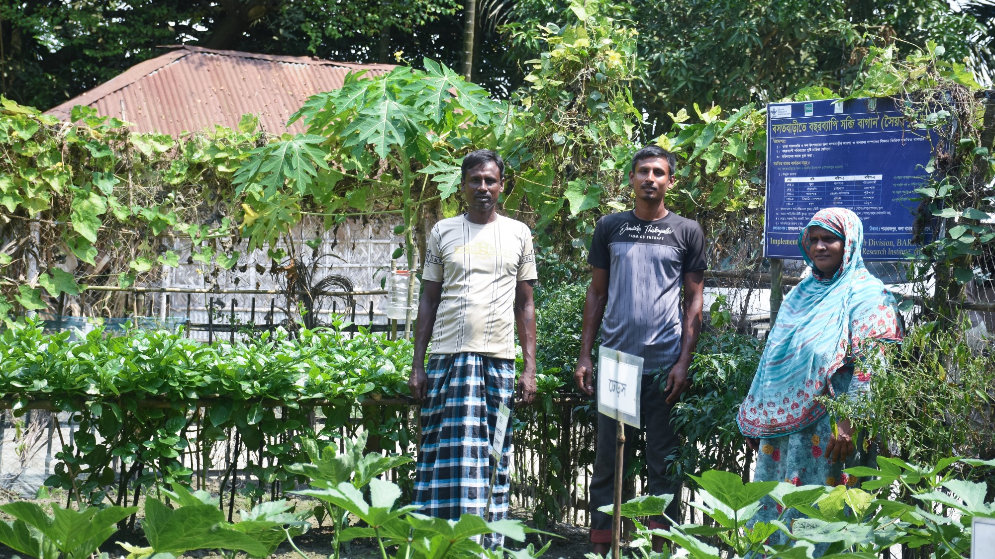 Sustainable Homestead Farming for Better Food and Nutrition Security in Bangladesh: Farida Begum’s success story