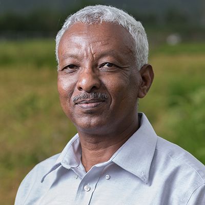 Abdelbagi M. Ismail